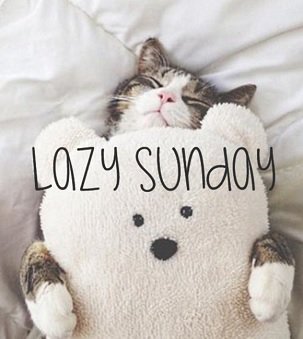 CarolDavidson's tweet photo. #SundayMorning - Slow and steady wins the race! #Relax #Rest #Recharge #LifeCoach #LifeStyleStrategist https://t.co/VyfxgrvQjJ