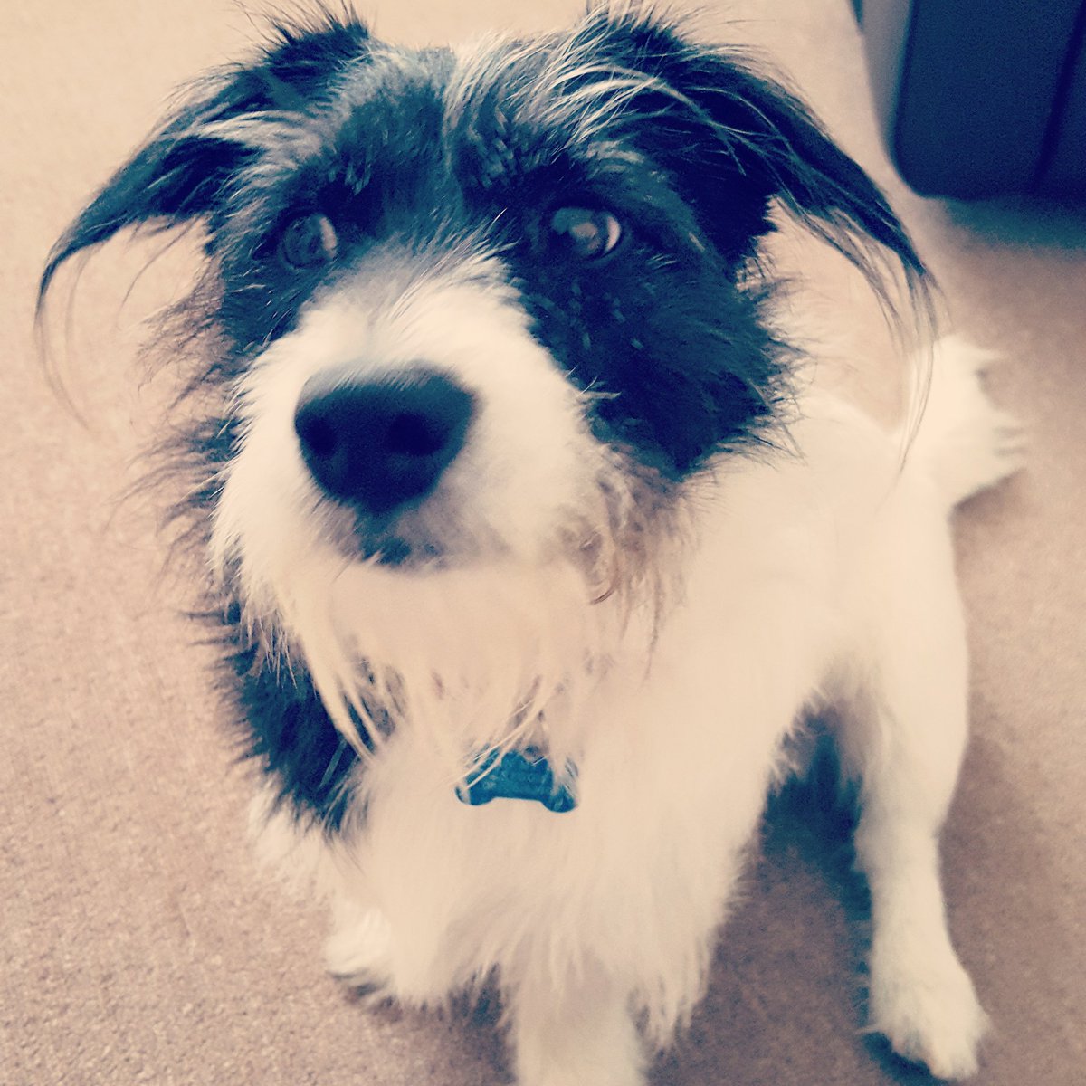 evilrobot_bill's tweet image. #NewProfilePic