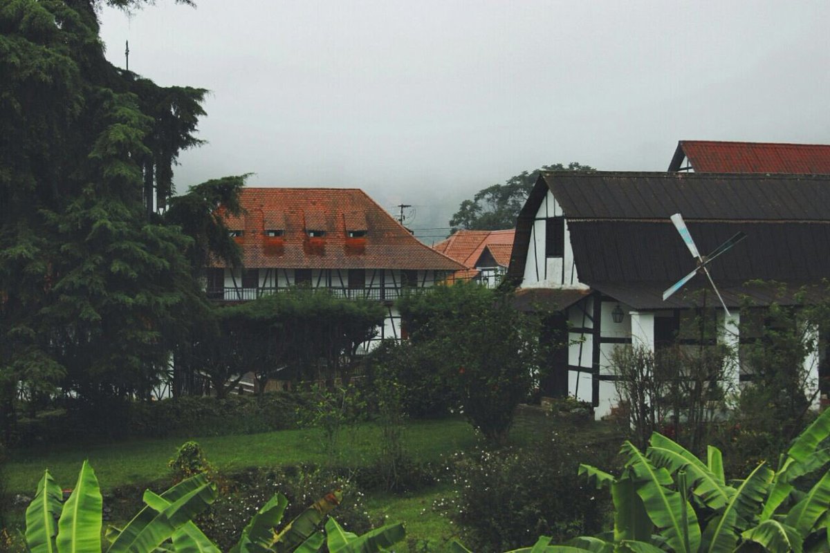 Heute hat der Liebe Gott ein wundervolles Wetter zu uns nach Tovar geschickt! Kommt, und geniest mit uns. colonia-tovar.com