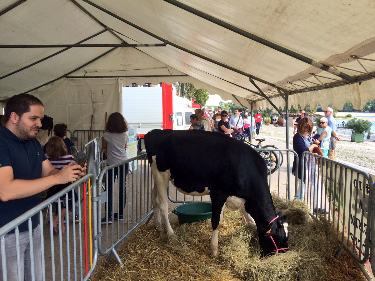 ptebibel's tweet photo. Cet après-midi à #DimancheALaCampagne à #Orléans. Respect pour ceux qui nous nourrissent #agriculture @larep_fr https://t.co/S1yqMudknl