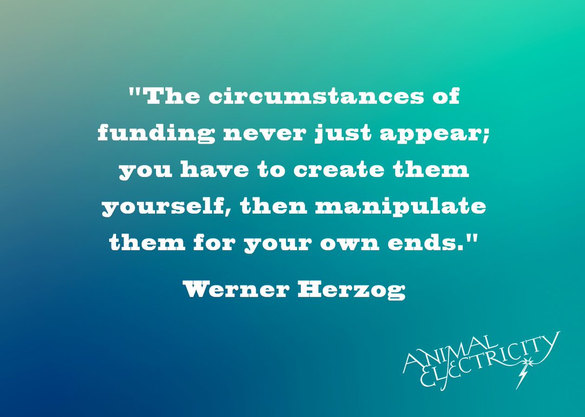 AnimalElectric's tweet image. 