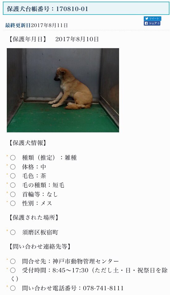 tamutamu on Twitter "🐶拡散希望 兵庫県 保健所 迷子犬 神戸市 動物管理センター