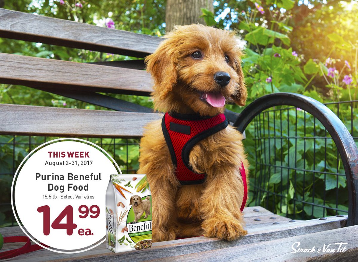 Strack & Van Til tweet media