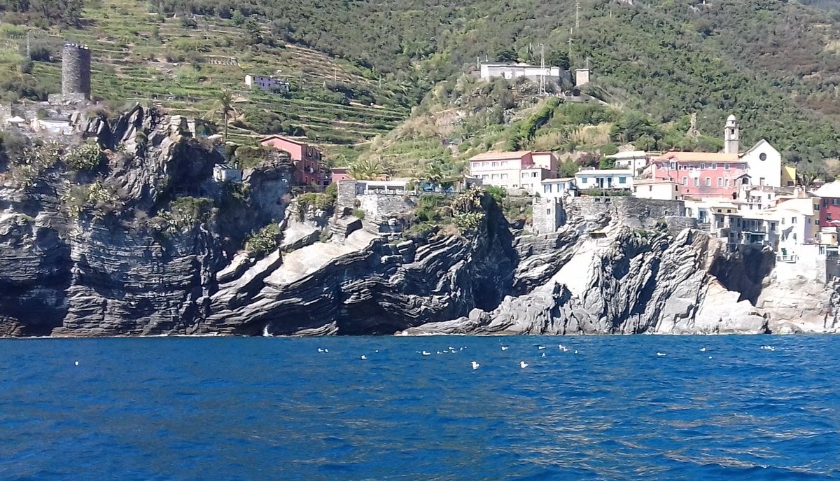 Per fortuna ci sono i gabbiani che a 60m dal paese ripuliscono il mare dalla fogna.#vernazza #cinqueterre #parco5terre #cittadellaspezia