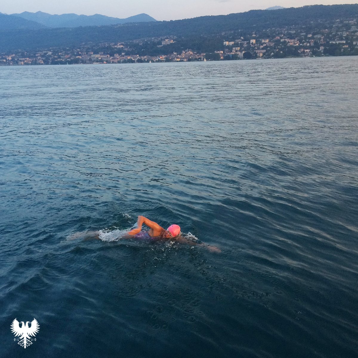 Lake Geneva Swimming Association tweet media