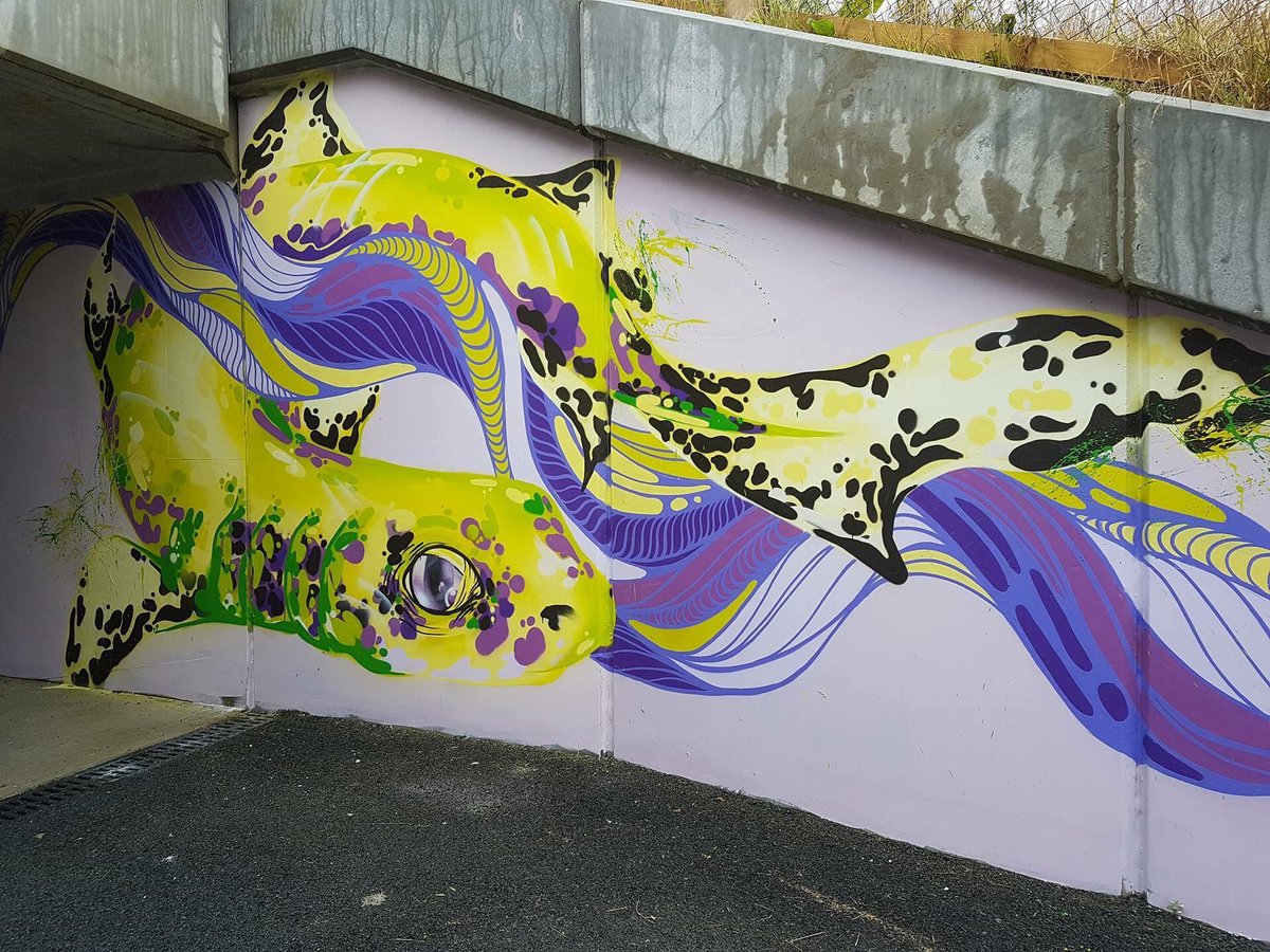 StreetArtInk's tweet photo. #FreshMess have just finished their #WaterfordWalls piece on @Waterfordgreen1! Thanks again to @chcgreenway for sponsoring this fab piece! https://t.co/ijGuEjOZ6F