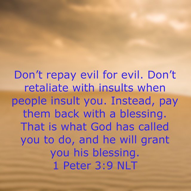 75deannaj's tweet photo. https://t.co/VgSkz7ZoA4 https://t.co/z00yOR9Czl