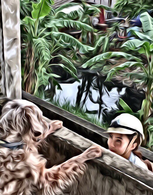 Weekend training - Abandoned Building Search - 2 misper found by K9. Details logged in K9SARLog app 🐾🐾
