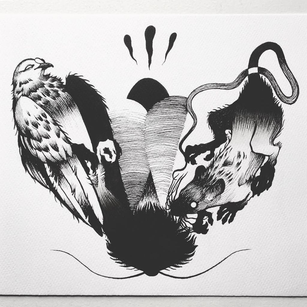 Affanita_art's tweet photo. Street trash #moth18 // #mothmonth
#ink #inkdrawing #indianink #tattooart #mothtattoo #moths #esoteric #linework #tattooapprentice #blackw… https://t.co/4KllhC5akH