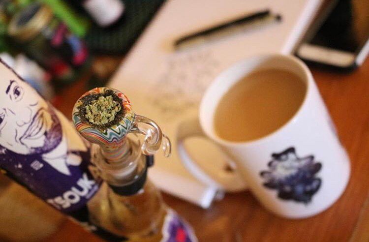 MJ_Wellness's tweet photo. Plans for today? 
#mjwellness #wakenbake #riseandshine #positivevibes #peaceandtrees https://t.co/BHXBRQNTdK