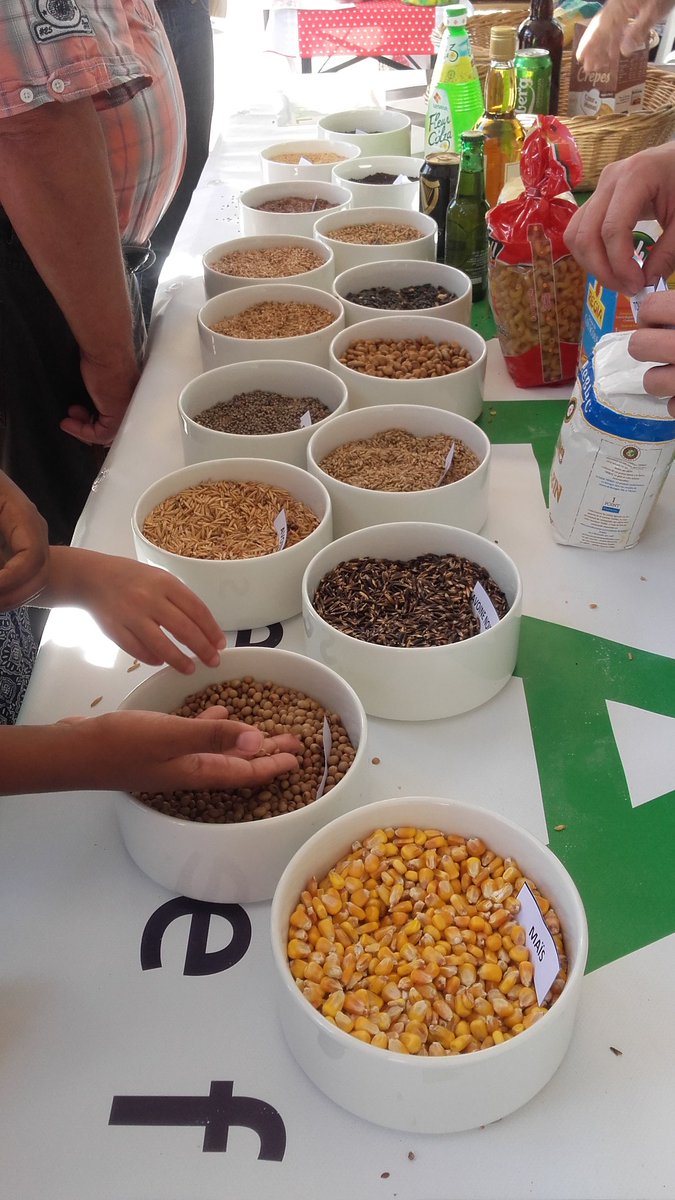 JALoiret's tweet photo. Des quais de Loire fourni pour venir admirer animaux, producteurs, OPA à #undimanchealacampagne #DAC à #Orleans. https://t.co/k4bZ7pX2qk