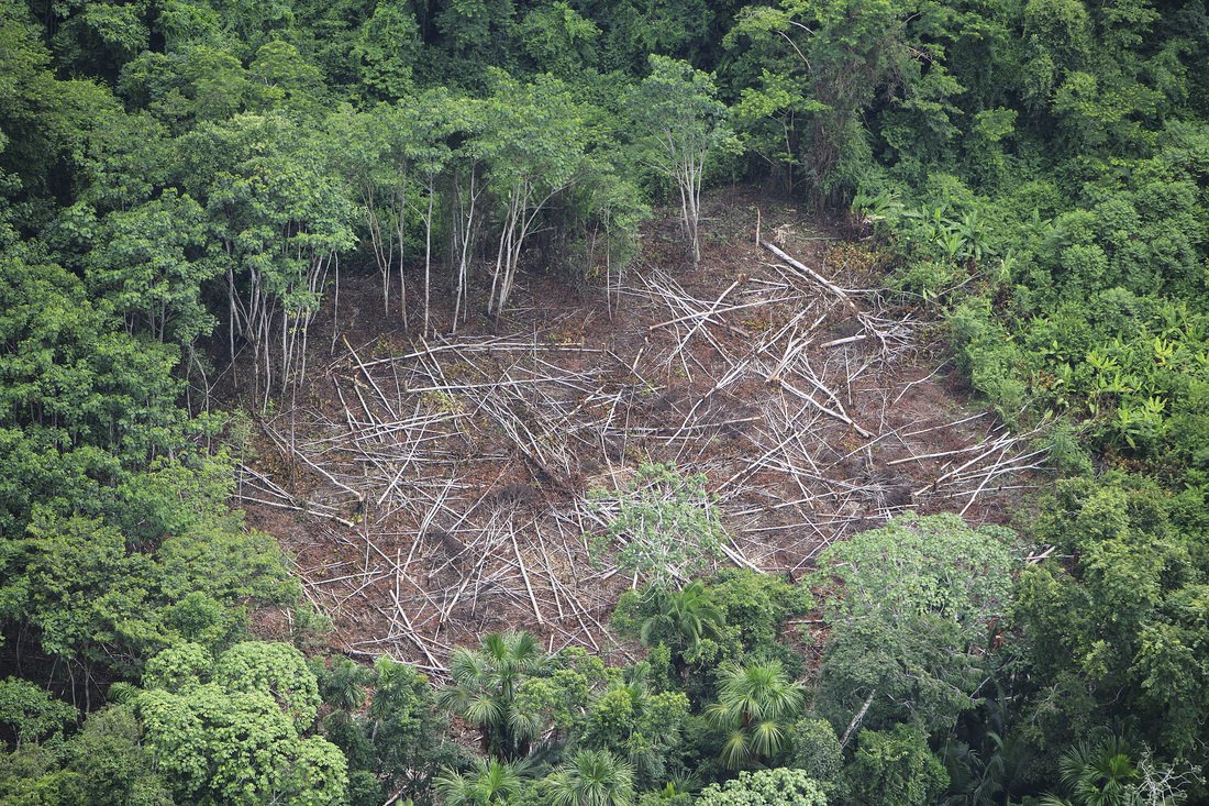 eosense's tweet photo. #TropicalForest response to #ClimateChange: #FieldStudies and #EcosystemModeling @Columbia @forestservice @USGS 
https://t.co/E61xcky0iP https://t.co/IVmDHr9Ksa