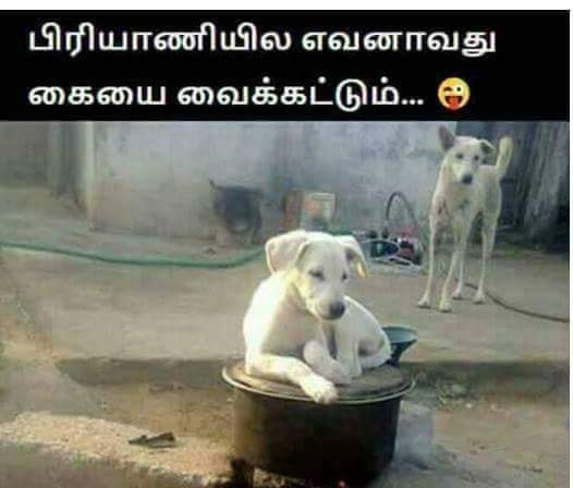 DHruT8cW0AEwY7O.jpg:large