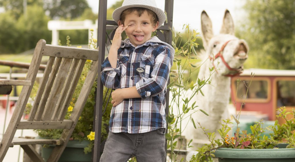 PopUpSideshow's tweet image. A Braying Donkey allaboutfaceleeds.wordpress.com/2017/08/20/a-b…