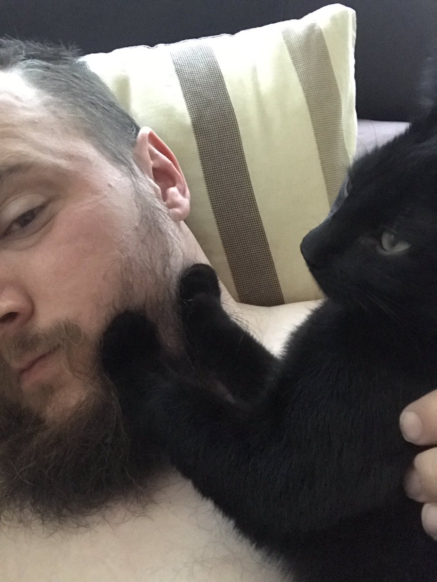 Beard comb? Or beard kitten comb? <a href="/scruffy_dave/">ScruffyDave</a>