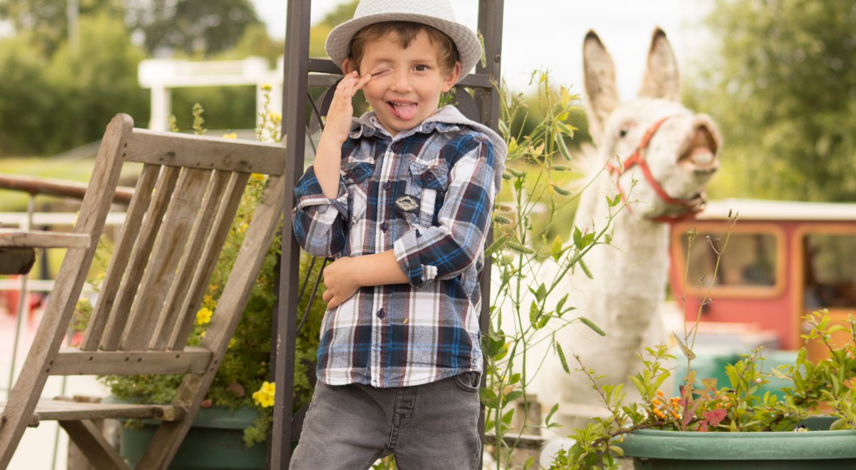 PopUpSideshow's tweet image. A Braying Donkey allaboutfaceleeds.wordpress.com/2017/08/20/a-b… #portfolio #portraits #Leeds #donkey #modelling #face #boss