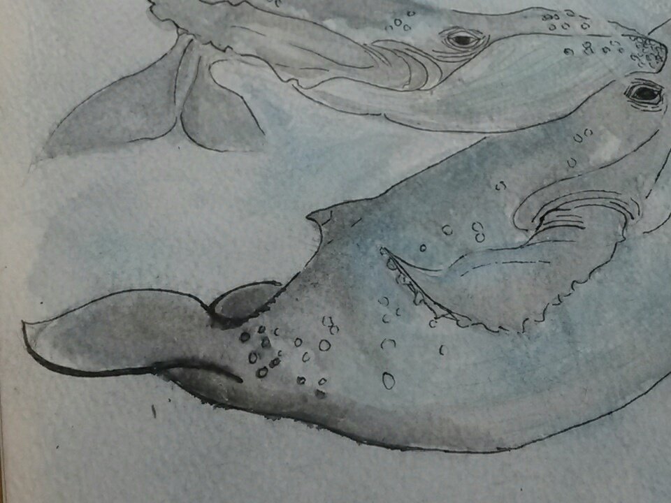 whatsaroutine's tweet image. I tried to paint sone whales today but I spilt water on Mama Whale&apos;s tail and it got all smudgy. Hello, irony.