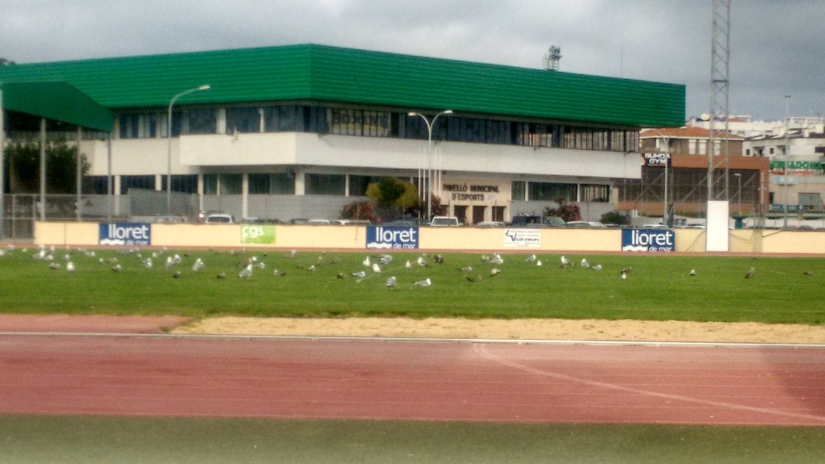 Ich beim Fußball mit meinen Freunden