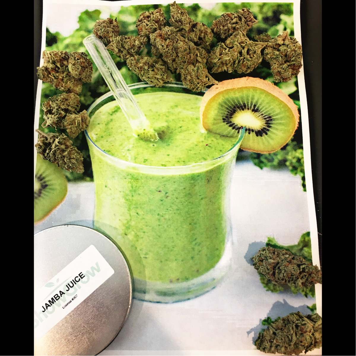 ShowGrowRamona's tweet photo. Jamba Juice is a unique clone-only offering from Golden State Genetics. This hybrid packs a lot flavor that offering sweet and candy flavors https://t.co/MHwEvG7RHK