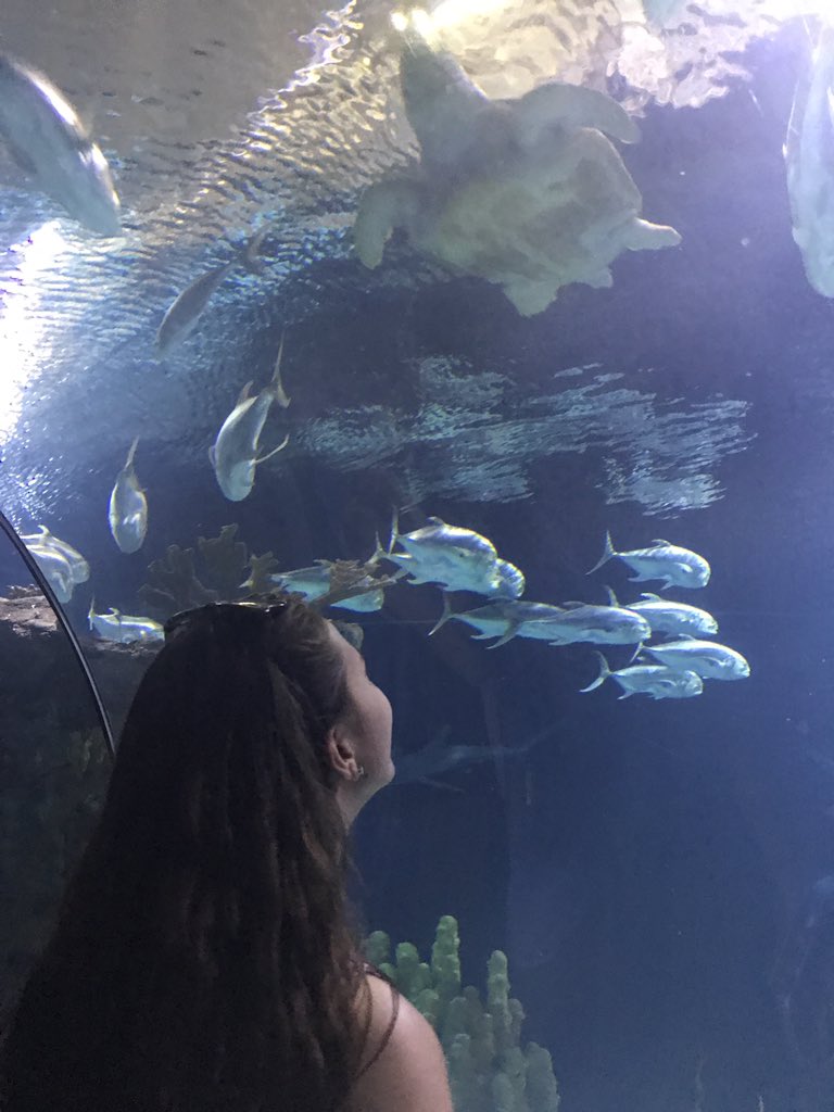 abbyliesman's tweet photo. ITS MY BEST FRIENDS BIRTHDAY AND SHES WONDERFUL AND AMAZING AND I LOVE HER SO GO WISH HER A HAPPY BIRTHDAY https://t.co/Aanb38wn87