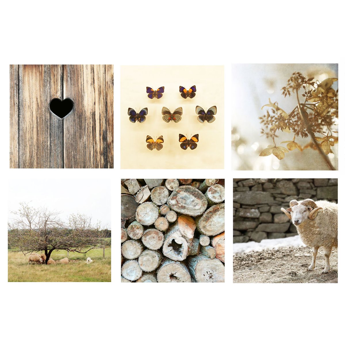 New! Set of six photos etsy.me/2weFcwP #farmhouseart #countrywallart #interiorstyling #rusticfarmhouse #countrylife #decorating