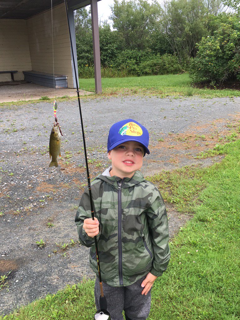 BrianUrquhart_'s tweet photo. First fish. What a fight this monster put up. #RodBender https://t.co/ED6oJSamax