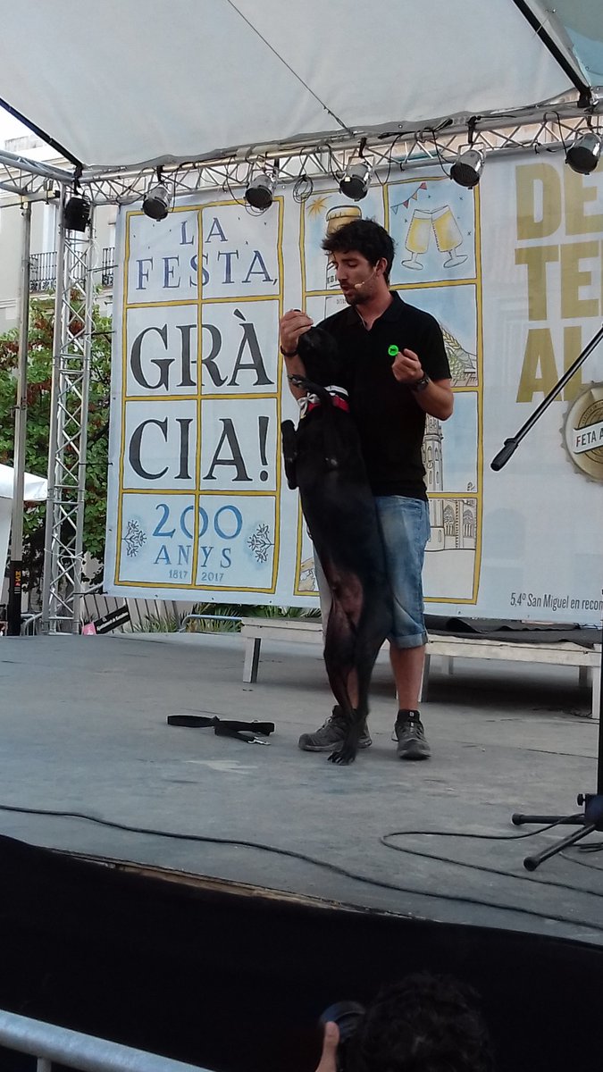 FestesAnimals's tweet photo. @AlPerroVerde a la IX FESTA DELS ANIMALS. Rehabilitació, educació, amor... i Rocky ajudant a tants humans i peluts des de fa 7 anys. Gràcies https://t.co/caTM1JXRFD