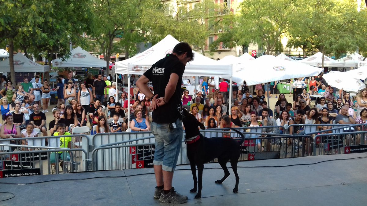 FestesAnimals's tweet photo. @AlPerroVerde a la IX FESTA DELS ANIMALS. Rehabilitació, educació, amor... i Rocky ajudant a tants humans i peluts des de fa 7 anys. Gràcies https://t.co/caTM1JXRFD