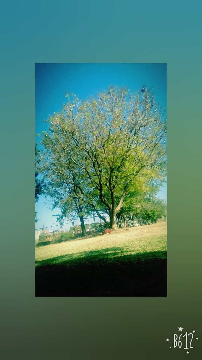 roj_soledad's tweet photo. #diamundialdelafotografia #Oaxaca https://t.co/UcaPL7wVpk