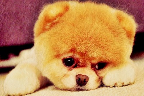 The Power of Depression mungerclub.com/2017/08/20/the…