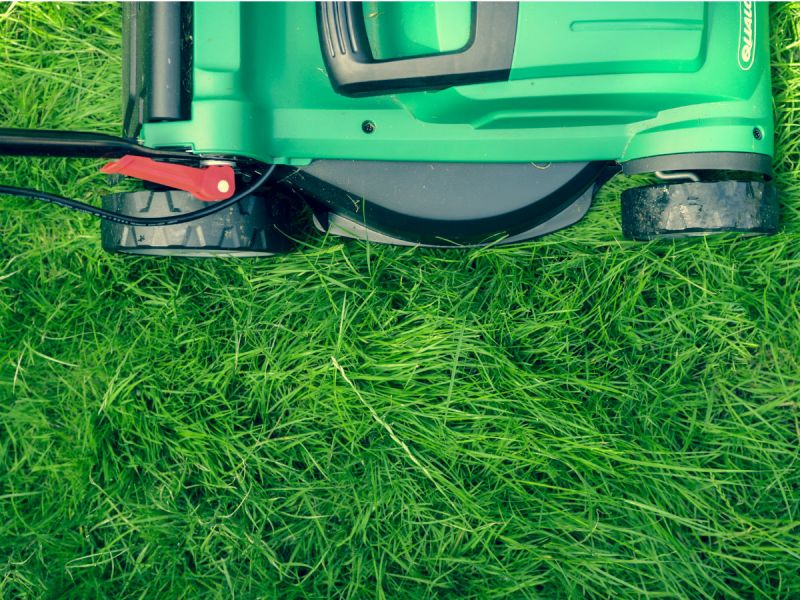 MiamiUPatch's tweet photo. You're invited: End-of-Summer Cleanup: Your Yard Checklist https://t.co/iY1NKDmiyu https://t.co/O3hdBLX15F