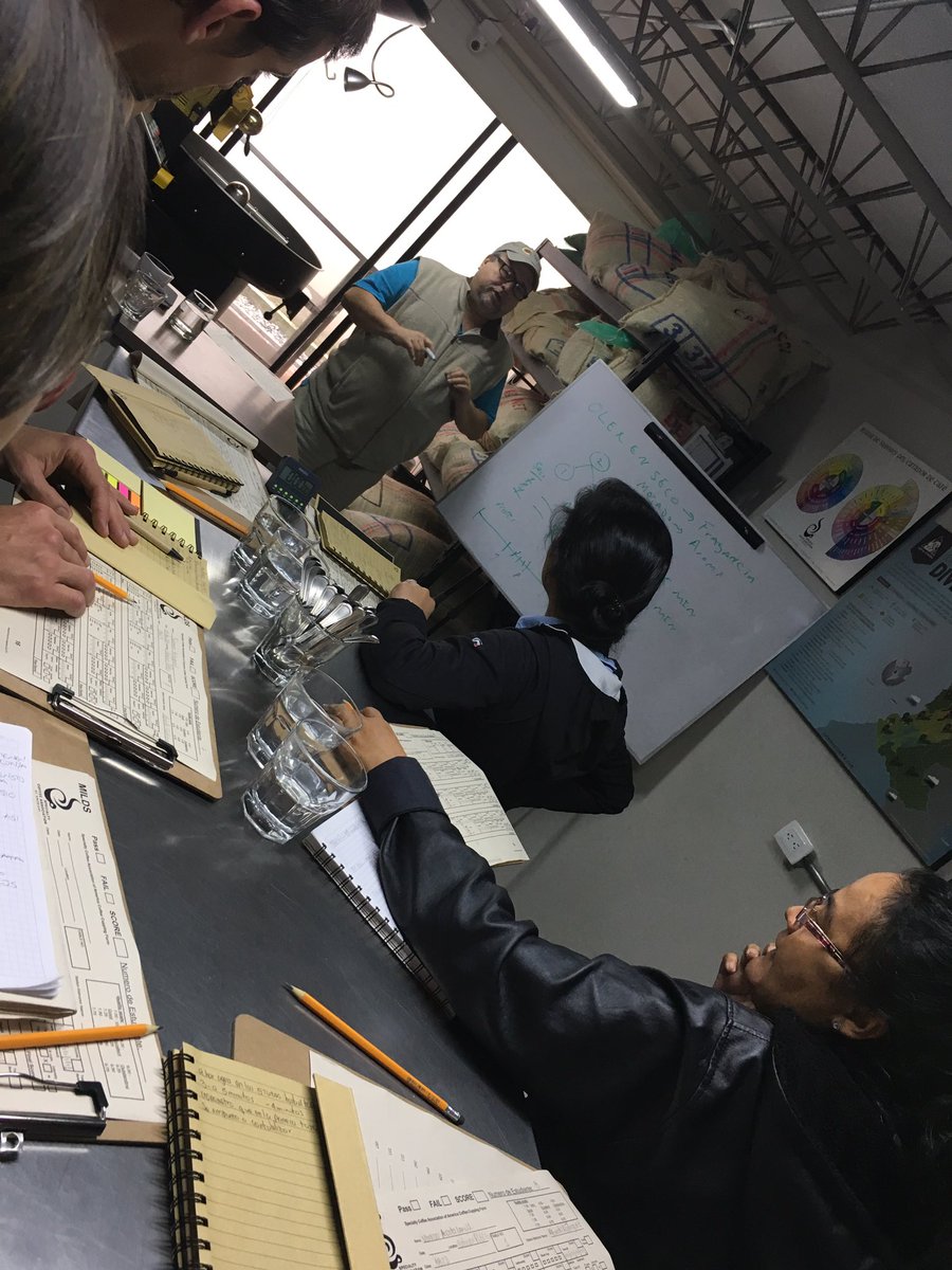 Otra forma de desarrollar el Mercado - Internacitional Training Q Grader #catacionpublica