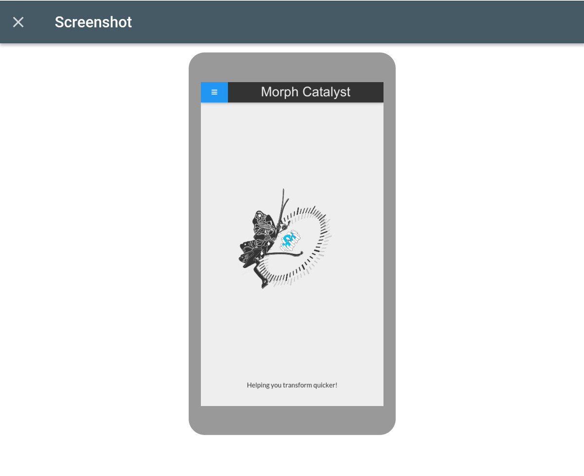 Morph Catalyst tweet media