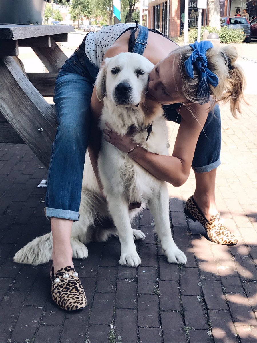 FamDogFusion's tweet photo. Repost: @BSnellenburg  serious hugging with https://t.co/ljSo7smC9R  🐶 #blondiefull #holland #mrBing #dog #love #family https://t.co/J6c2eOdN1s