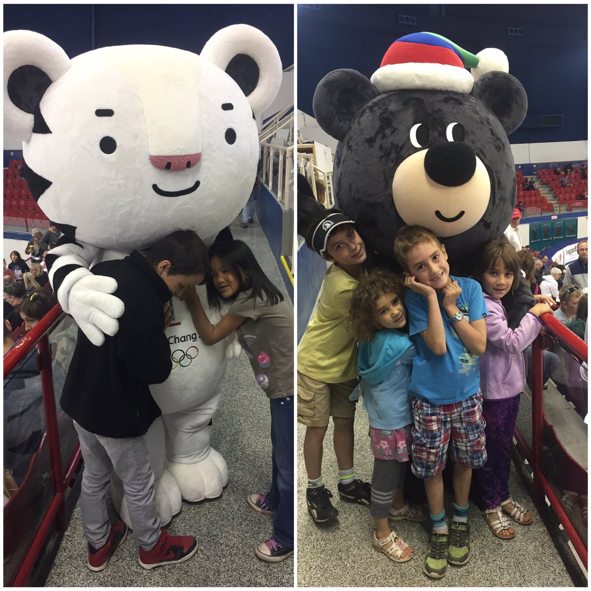PatinVitesseQc's tweet photo. Les mascottes de #PyeongChang2018 sont avec nous à l'aréna Maurice-Richard! #SelectionsCp #PatinVitesseQc https://t.co/pJQttCW9og