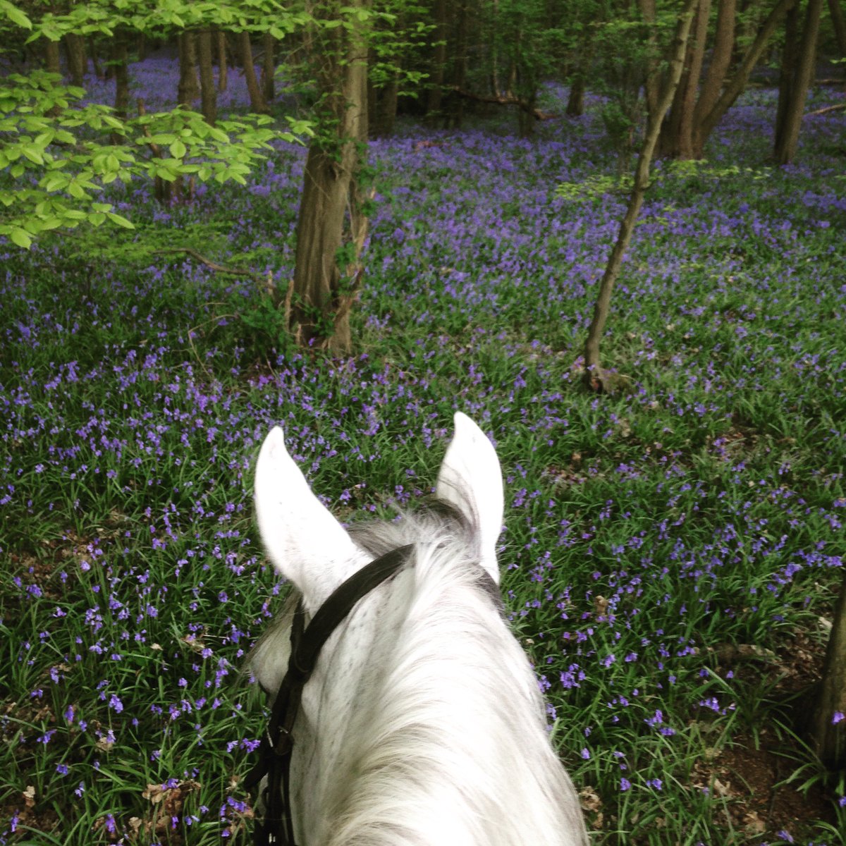 HAYLEYPENNECK's tweet photo. @BBCCountryfile - how do I enter my picture into the Countryfile calendar Competition?? https://t.co/wwhdK8MPeS