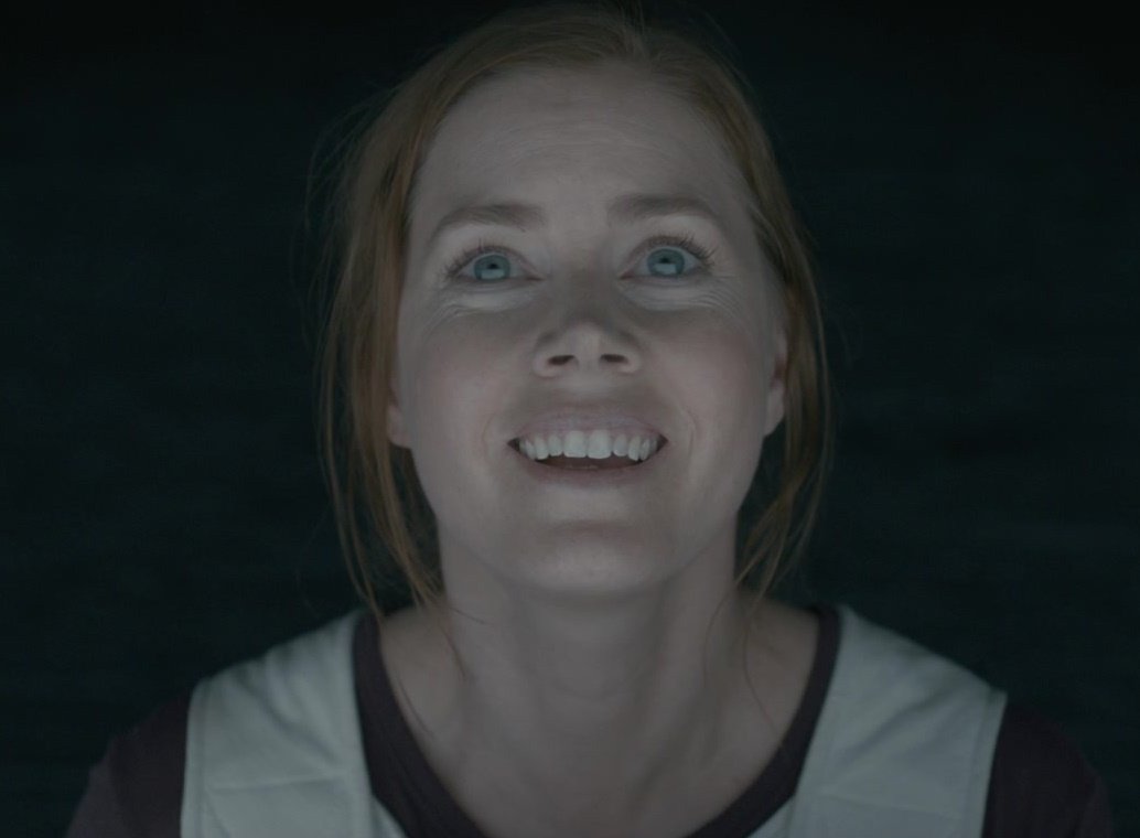 Happy birthday to the queen, Amy Adams!  She deserves an Oscar. 