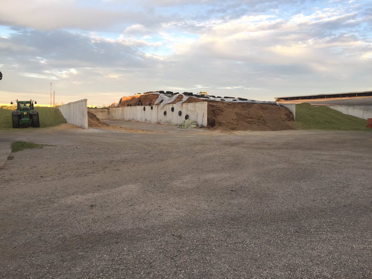 Big #silage pit for Beef...italian quality #meat