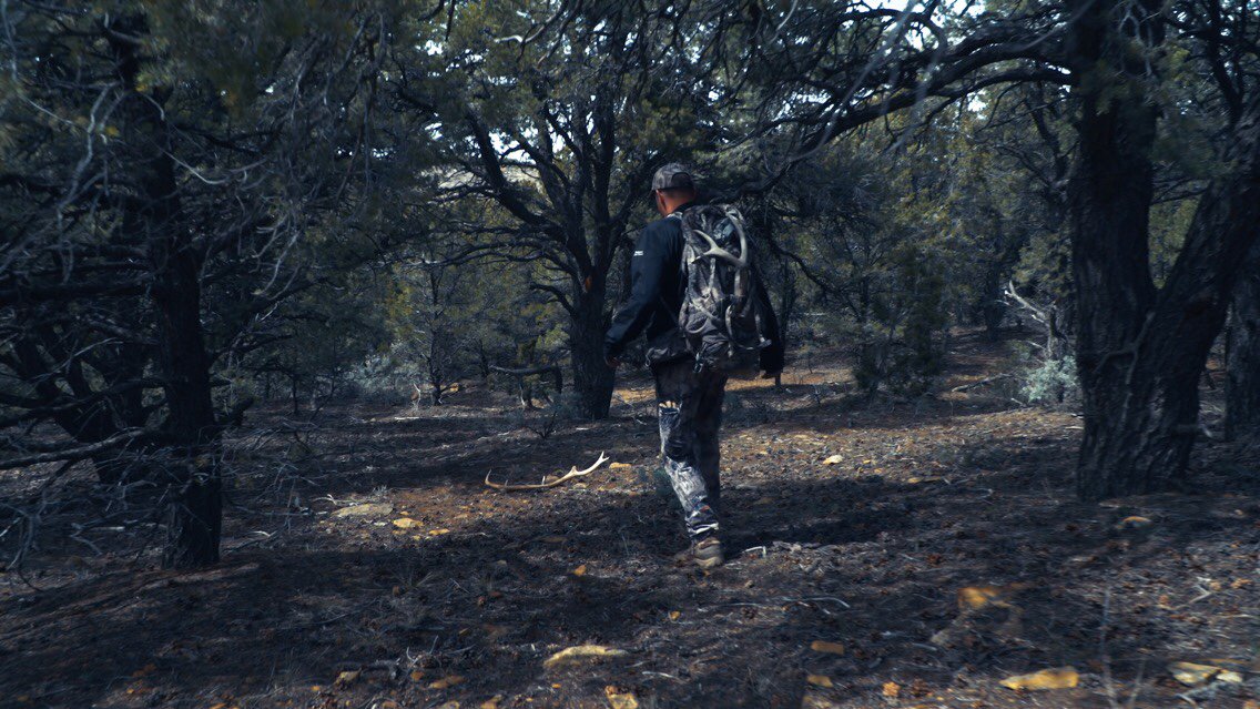 WildAirTV's tweet photo. Shed hunting is a skill not everyone is born with, yet everyone can acquire. Do you agree? https://t.co/buhGb479Y6