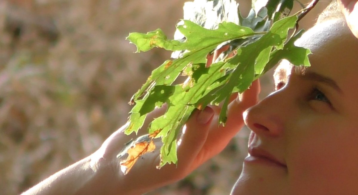 sharing_nature's tweet photo. Become absorbed in the moment. Touch your true joy in a moment of deep connection with nature #sharingnature https://t.co/6RGWIRPZHI https://t.co/aEFESTOdsE