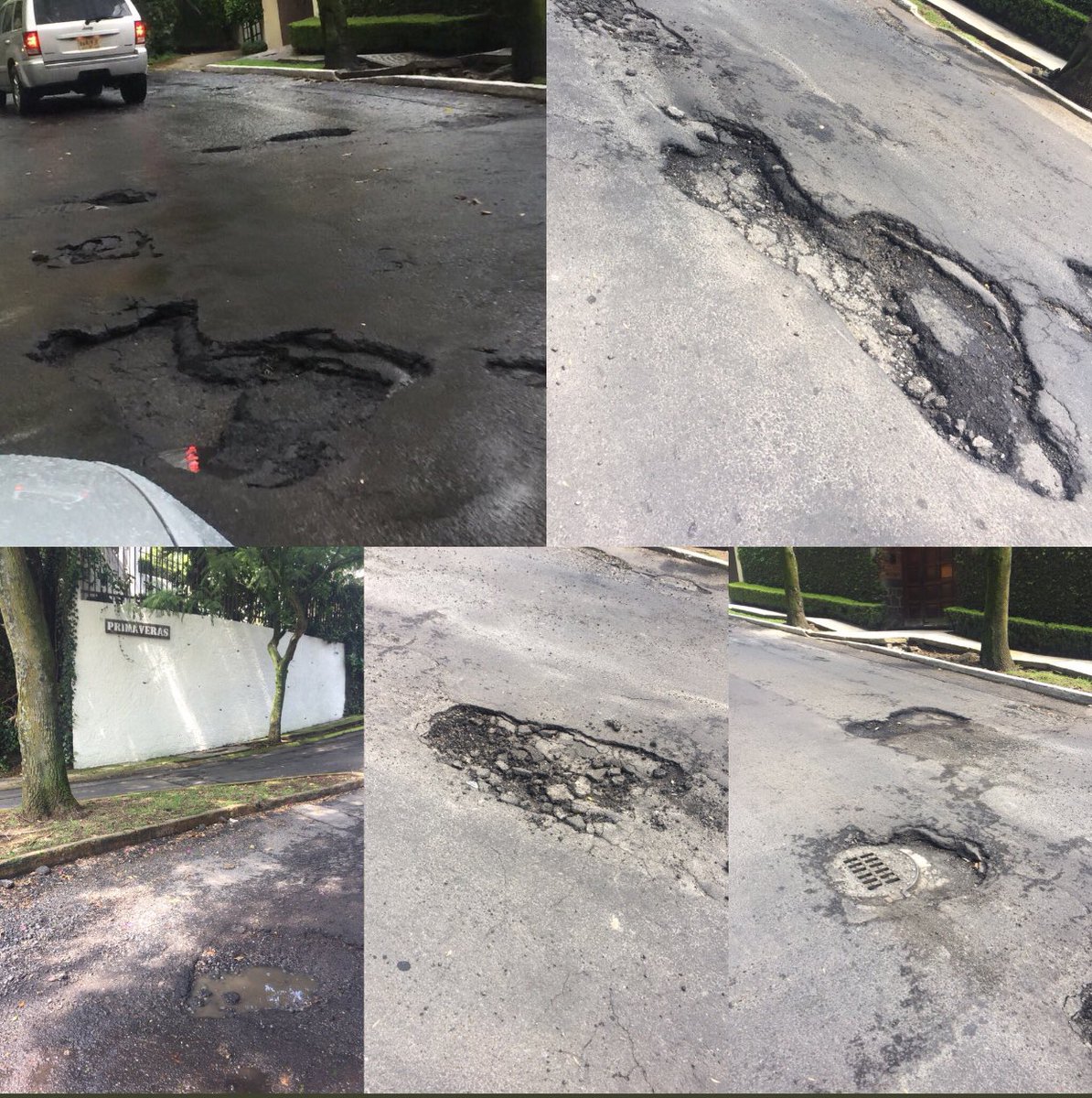 Zue_Prz182's tweet photo. Ya han sido reportados y no hacen nada @MHcesac cada vez se hacen más grandes y más problemas causan en ahuehuetes sur 811. @delegacionMH https://t.co/pTJnsJeutZ