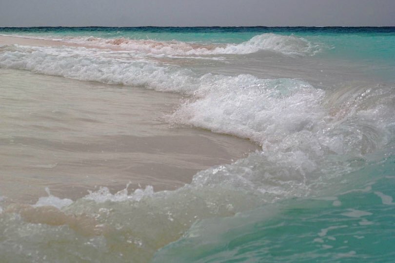 waves of paradise