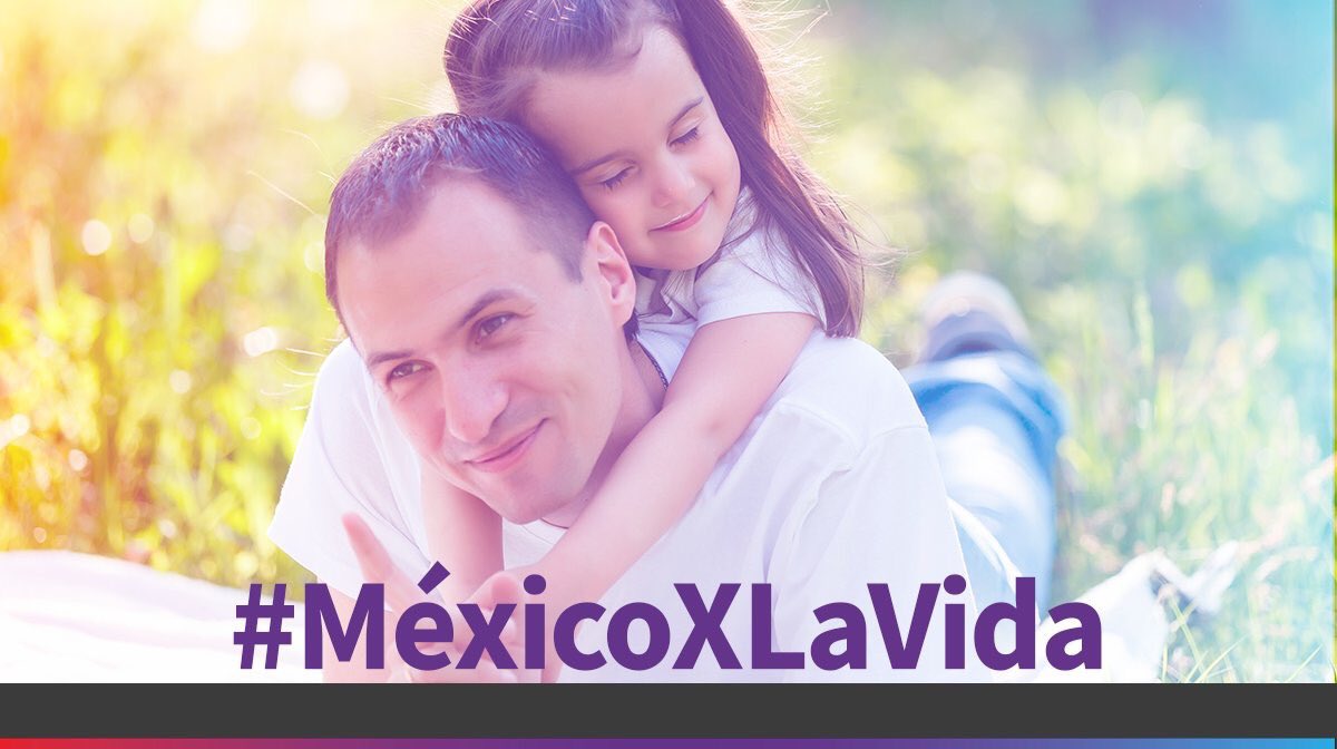 Gonzalo Guizar Valladares tweet media