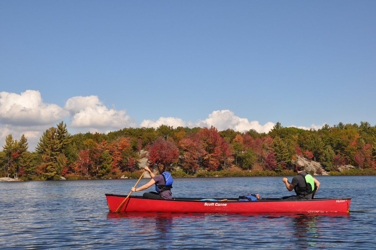 KawarthaHSSP's tweet photo. #Fall camping is just around the corner, and we still have lots of campsites available in #September and #October! #fallcolours #backcountry https://t.co/RNRZIge2Ve