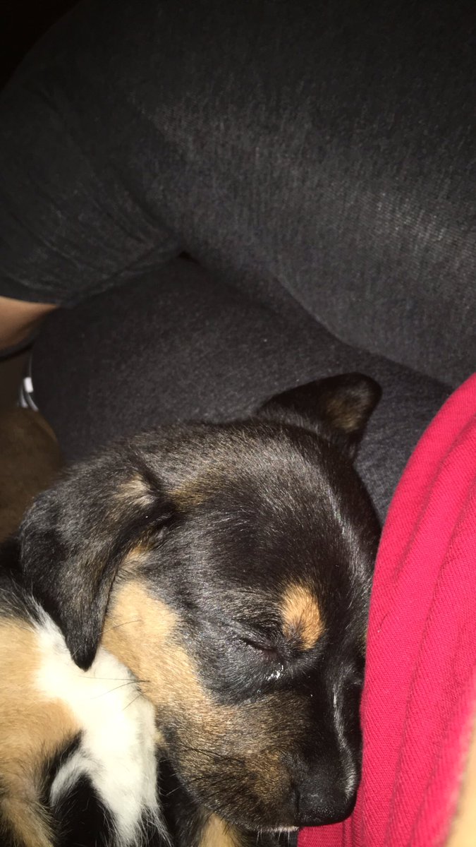 brooklynnmad's tweet photo. Open for my fav thing!!! https://t.co/pOGgsSxwek