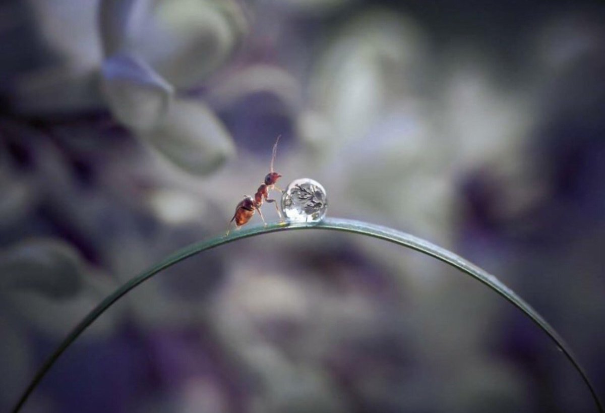 1 Chronicles 4:10 Oh, that You'd bless me indeed &amp; enlarge my territory, Your hand be with me &amp; keep me from evil, that I may not cause pain