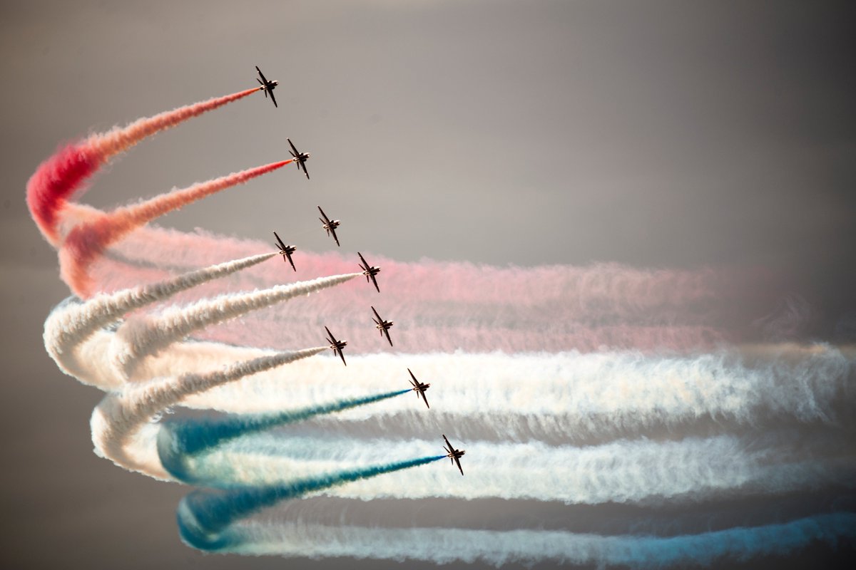 Fo_Tog_Rob tweet media