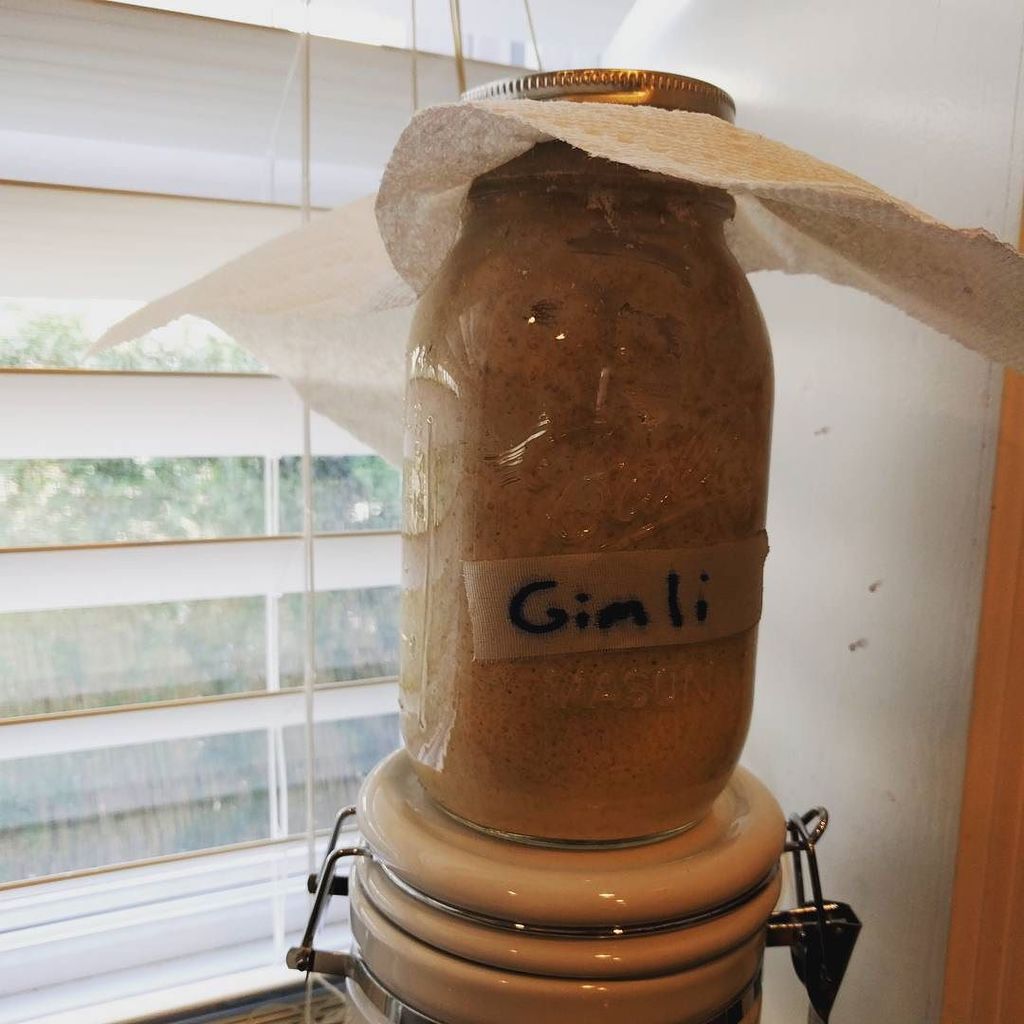 BarbarianBread's tweet photo. Inspired by @mistereatgalway, I've finally named my toddler aged sourdough starter. "Gimli" - as @alexa289 suggest… https://t.co/Y4Q5ZPaxtV https://t.co/xVewh5ph3B