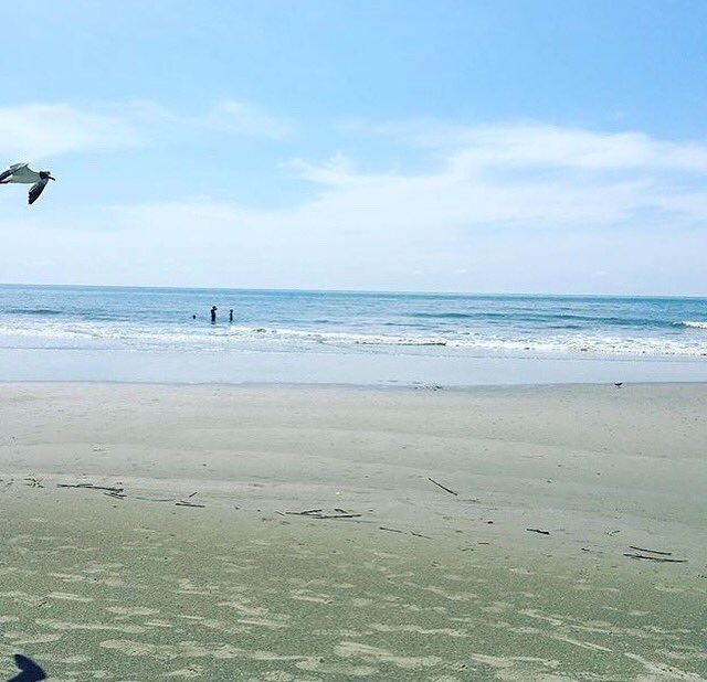 http_angelic's tweet photo. ☀️🐠🐚 https://t.co/MzKgABmwmy