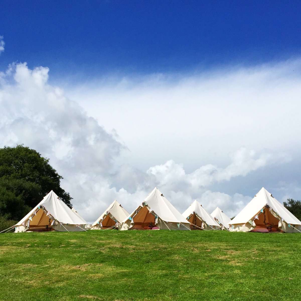 BoutiqueBell's tweet photo. Had a brilliant time setting up a guest village for Laura &amp; Andy this weekend at @partyfielddrst one of our fave venues! Congrats guys! X https://t.co/HC5Tv0eeYp